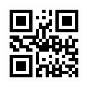 Play Store QR